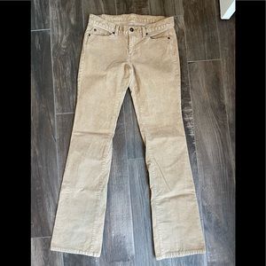 Loft Modern Boot Corduroy pants